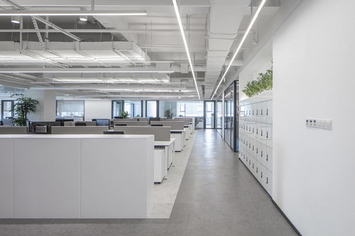 办公室设计装修,适应企业需求探索空间更多可能性
